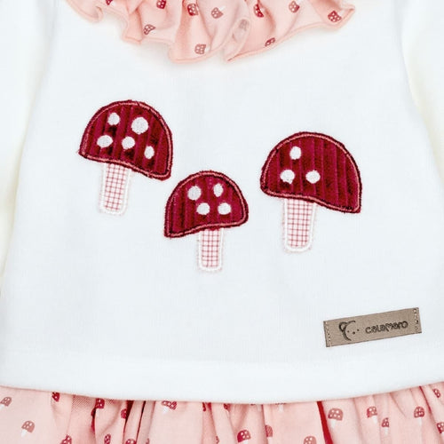 Conjunto Pololo Caldas